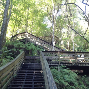 Devil's Millhopper Geological State Park - Gainesville, FL