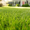 Backwoods Lawncare LLC gallery