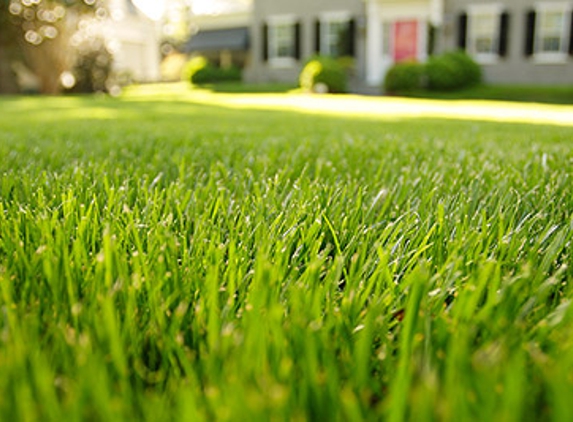 Backwoods Lawncare LLC - Hernando, FL