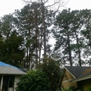 Aaffordable Sonshine State Trees, Inc. - Arborists