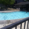 Affordable Pool Service gallery