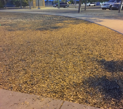 Gene Autry Tennis Center - Mesa, AZ