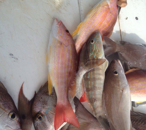 Captain Tony's Fishing Adventures - Fort Myers Beach, FL