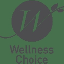 Wellness Choice - Physical Therapists