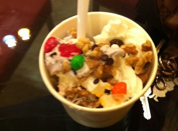 Redberry Frozen Yogurt - Laredo, TX