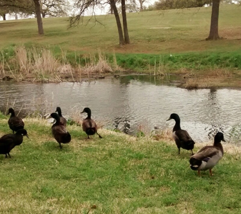 Randol Mill West - Arlington, TX