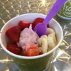 Tutti Frutti Frozen Yogurt gallery