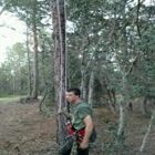 A-Action Tree Service of Citrus County. Inc.