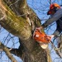 J & J Tree Services