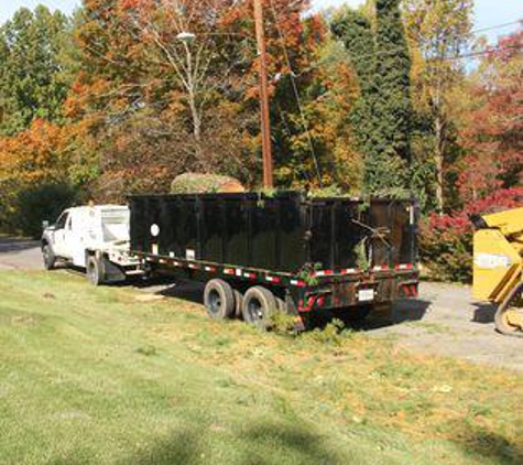 Tri-Cities Tree Service-Cabin Fever - Kingsport, TN