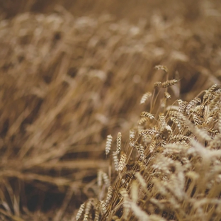 Southern Stockfeeds - Loddon, VIC