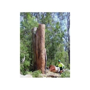 Gallery Image Number 5