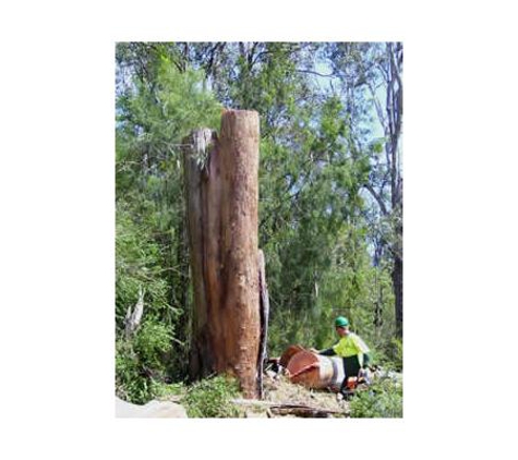 Sapphire Coast Tree Service & Tower Hire