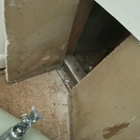 FDP Mold Remediation of Miami