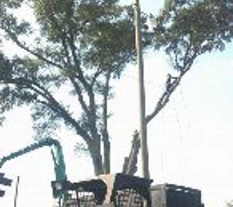 Allen's Tree Service, LLC - Eastman, GA