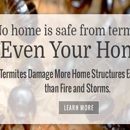 Action Termite and Pest Control - Pest Control Services