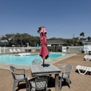 Drifters Resort - Resorts