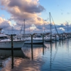 Loggerhead Marina - South Lantana - CLOSED gallery