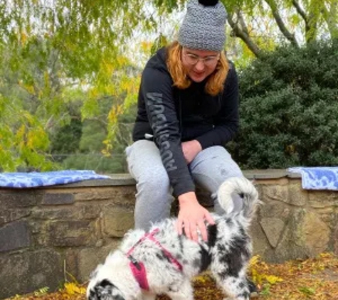 Alfoxton Dog Centre - Heathcote Junction, VIC