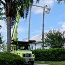 Beaver Tree Service, Inc. - Tree Service