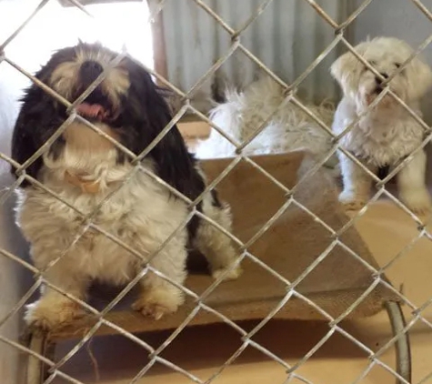 Ulverstone Boarding Kennels & Cattery - Ulverstone, TAS