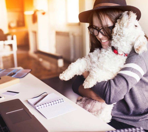 Mindful Pet Care - Beaconsfield, NSW