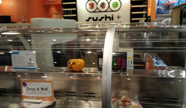 Sushi + Rotary Sushi Bar - Aurora, IL