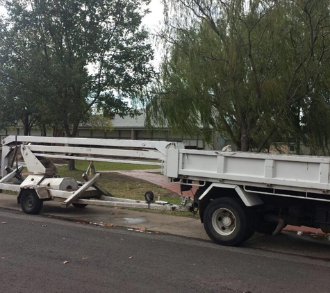 MSZ Tree Lopping Service
