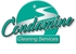 Pro Carpet Cleaning - Carpet Cleaning & Protection