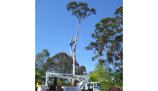 Sapphire Coast Tree Service & Tower Hire - South Pambula, NSW