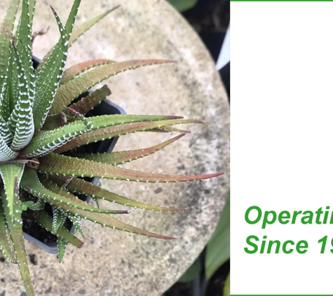 Premier Palms Nursery - Mariginiup, WA. Operating Since 1995