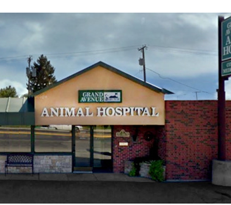 Grand Avenue Animal Hospital - Billings, MT