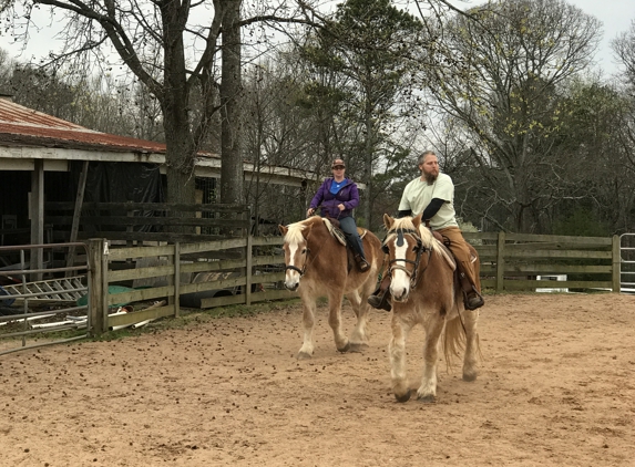 Trinity Stables - Lawrenceville, GA