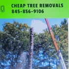 Cheap Tree Removals