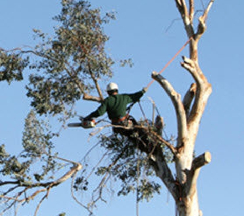 Lee's Tree Service - Poolesville, MD