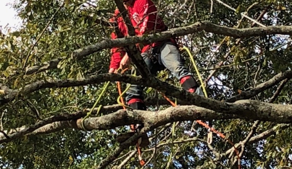 Linander's Tree Service - Phenix City, AL