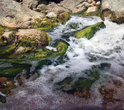 Los Peñasquitos Canyon Preserve - San Diego, CA