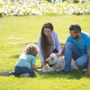 Turf Chief Lawn Care - Pest Control Equipment & Supplies