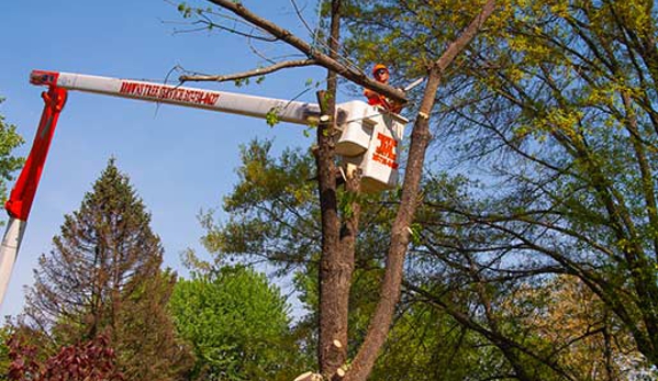 Brown's Tree Service, LLC - Franklin, IN