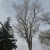 H & S Tree Care gallery