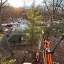 Millers Tree Service - Tree Service