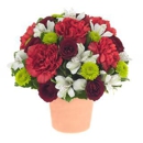 Lindas Flower Magic - Florists