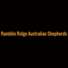 Ramblin Ridge Australian Shepherds gallery