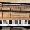 Paradise Piano gallery