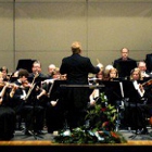 Danville Symphony Orchestra