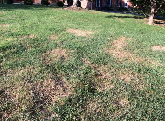 Royse Lawn Care - Batavia, OH