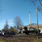 Northern Tree Service