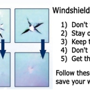 JT Glass - Windshield Repair
