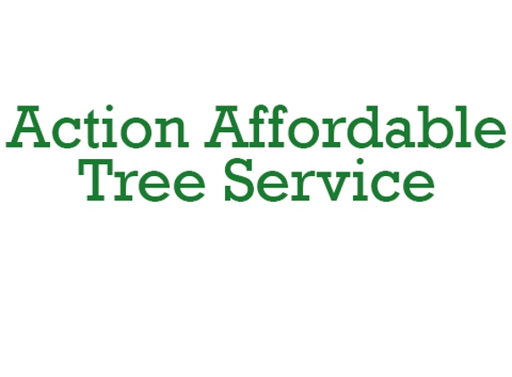 Action Affordable Tree Service - Greenwood, IN