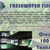 Fish Den gallery